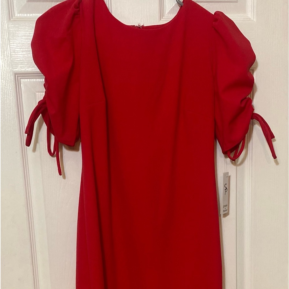 Pinkish Red dress